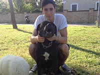 cane corso rustic type